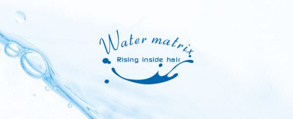 Water Matrix CV